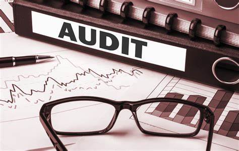 TRAINING AUDITING TECHNIQUES TOOLS GUIDE NEW AUDITOR