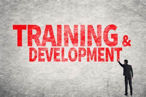 TRAINING EFEKTIFITAS PELATIHAN DAN PENGEMBANGAN TRAINING DEVELOPMENT